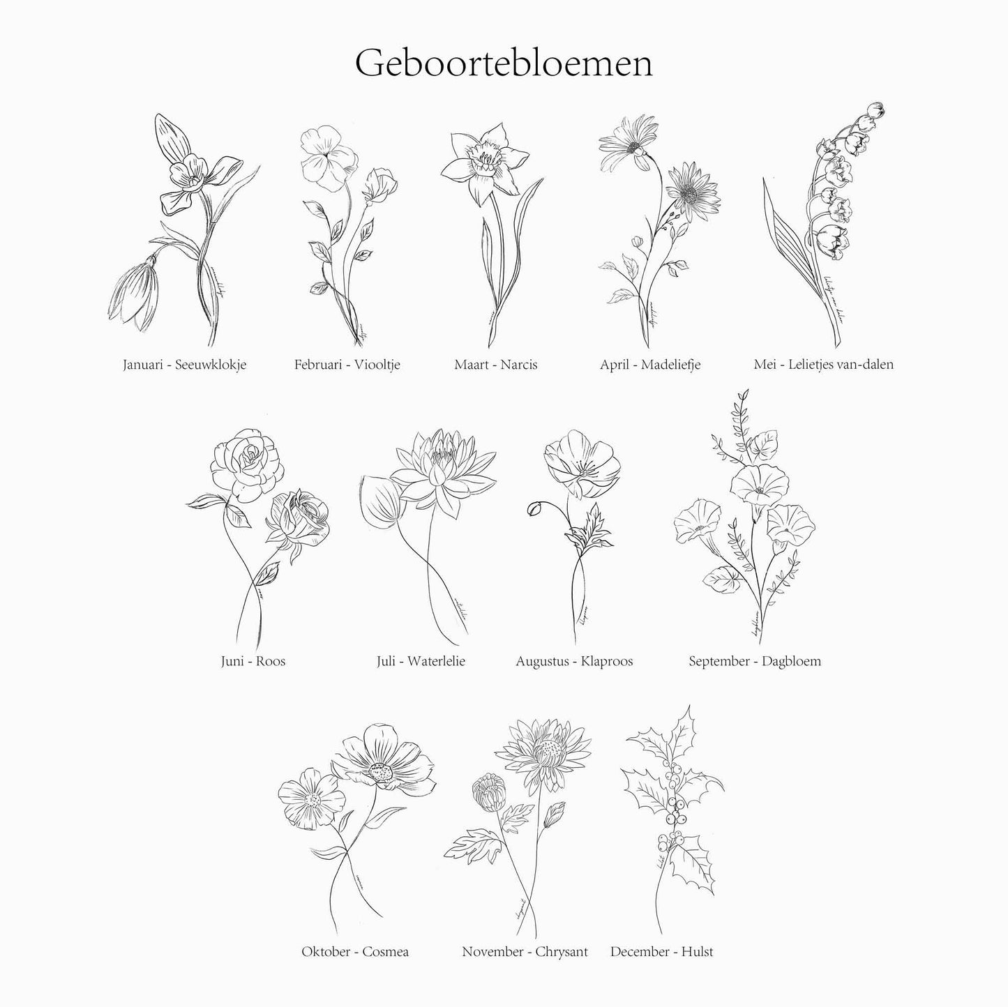 Geboortebloem Poster